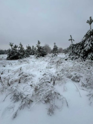 ����������� ������ ��� ��� � ��� �����������! �� ���� 30 ��. ���� 2