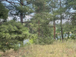 ��������� ����������� ������ �� ����� ��������� ���� � ���������������� �� Riviera Village ���� 4