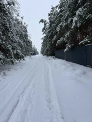 ����������� ������ ��� ��� � ��� �����������! �� ���� 30 ��. ���� 4