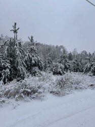 ����������� ������ ��� ��� � ��� �����������! �� ���� 30 ��. ���� 9