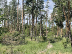 ��������� ����������� ������ �� ����� ��������� ���� � ���������������� �� Riviera Village ���� 3