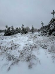 ����������� ������ ��� ��� � ��� �����������! �� ���� 30 ��. ���� 7