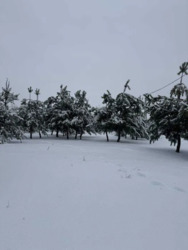 ����������� ������ ��� ��� � ��� �����������! �� ���� 30 ��. ���� 11