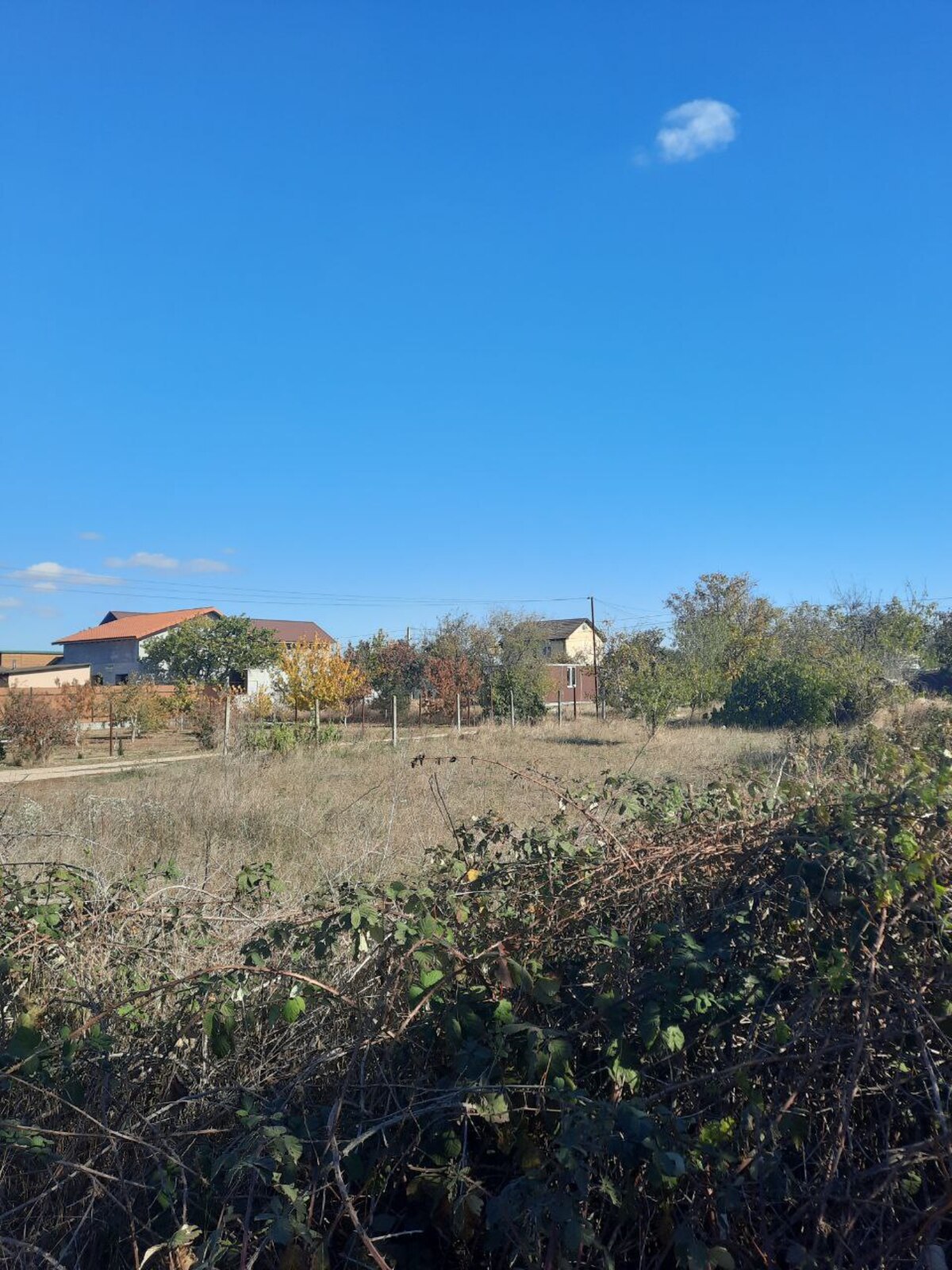 Земельна ділянка біля моря фото 1 Земельна ділянка біля моря фото 1