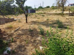 �������� ������ ���� 4