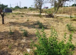 �������� ������ ���� 1