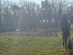 ��������� ������ ���������, ³��������, ³������� ���� 11