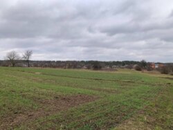 ��������� ������ �����������, ��������, ³��������, ³������� ���� 1