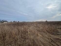 ��������� ������ ������ (���������), ��������, ³��������, ³������� ���� 5