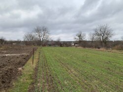 ��������� ������ �����������, ��������, ³��������, ³������� ���� 3