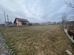 ��������� ������ �����������, ��������, ³��������, ³������� ���� 13