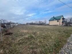 ��������� ������ �����������, ��������, ³��������, ³������� ���� 7