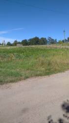 ��������� ������ ���������, ³��������, ³������� ���� 7