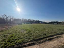 ��������� ������ ���������, ³��������, ³������� ���� 16