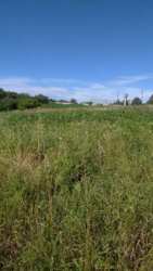 ��������� ������ ���������, ³��������, ³������� ���� 5