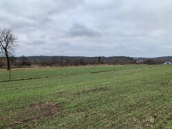 ��������� ������ �����������, ��������, ³��������, ³������� ���� 10