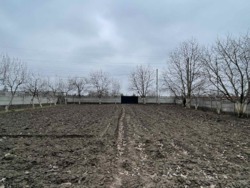 ��������� ������ ³�����, ³�������, �������� ���� 4