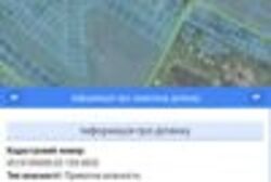 ��������� ������ ���������, ³�����, ³������� ���� 5