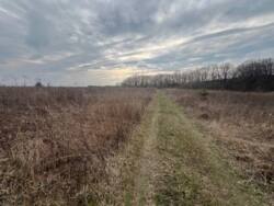 ��������� ������ ������ (���������), ��������, ³��������, ³������� ���� 7