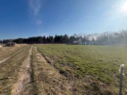 ��������� ������ ���������, ³��������, ³������� ���� 4