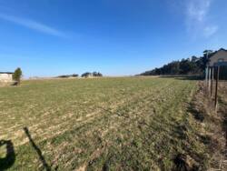 ��������� ������ ���������, ³��������, ³������� ���� 2