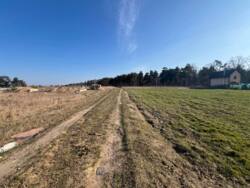 ��������� ������ ���������, ³��������, ³������� ���� 5