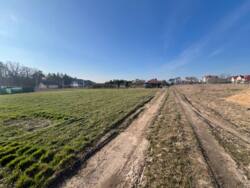 ��������� ������ ���������, ³��������, ³������� ���� 13