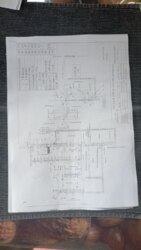 ��������� ������ ³������ ������, ³��������, ³������� ���� 1