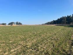 ��������� ������ ���������, ³��������, ³������� ���� 7