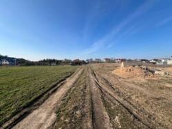 ��������� ������ ���������, ³��������, ³������� ���� 19