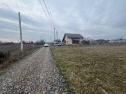 ��������� ������ �����������, ��������, ³��������, ³������� ���� 15