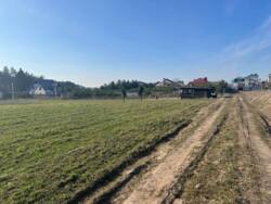 ��������� ������ ���������, ³��������, ³������� ���� 10