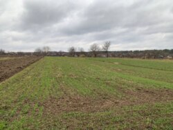 ��������� ������ �����������, ��������, ³��������, ³������� ���� 6