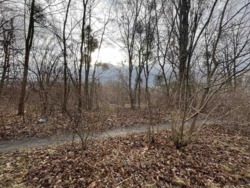 ��������� ������ ����������, ³�����, ³�������, ��� ���� 6