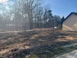 ��������� ������ ���������, ³��������, ³������� ���� 18