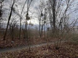 ��������� ������ ����������, ³�����, ³�������, ��� ���� 1