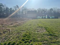 ��������� ������ ���������, ³��������, ³������� ���� 15