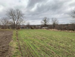 ��������� ������ �����������, ��������, ³��������, ³������� ���� 8