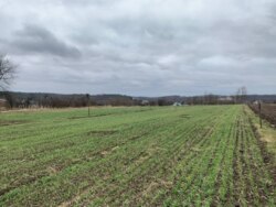 ��������� ������ �����������, ��������, ³��������, ³������� ���� 5