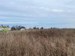 ��������� ������ ������ (���������), ��������, ³��������, ³������� ���� 8