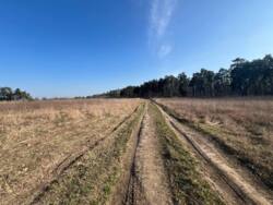 ��������� ������ ���������, ³��������, ³������� ���� 20