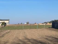 ��������� ������ ���������, ³��������, ³������� ���� 14