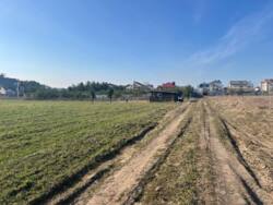 ��������� ������ ���������, ³��������, ³������� ���� 8