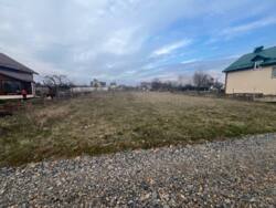 ��������� ������ �����������, ��������, ³��������, ³������� ���� 11