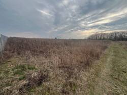 ��������� ������ ������ (���������), ��������, ³��������, ³������� ���� 11