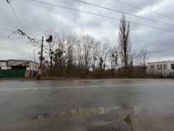 ��������� ������ ����������, ³�����, ³�������, ��� ���� 5