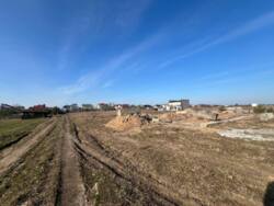 ��������� ������ ���������, ³��������, ³������� ���� 6