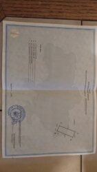 ��������� ������ ���������, ³��������, ³������� ���� 2