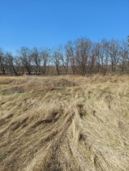 Продам земельный участок Славянск р-н Артема фото 7 Продам земельный участок Славянск р-н Артема фото 7