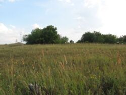 Участок 9 соток Артема фото 2 Участок 9 соток Артема фото 2